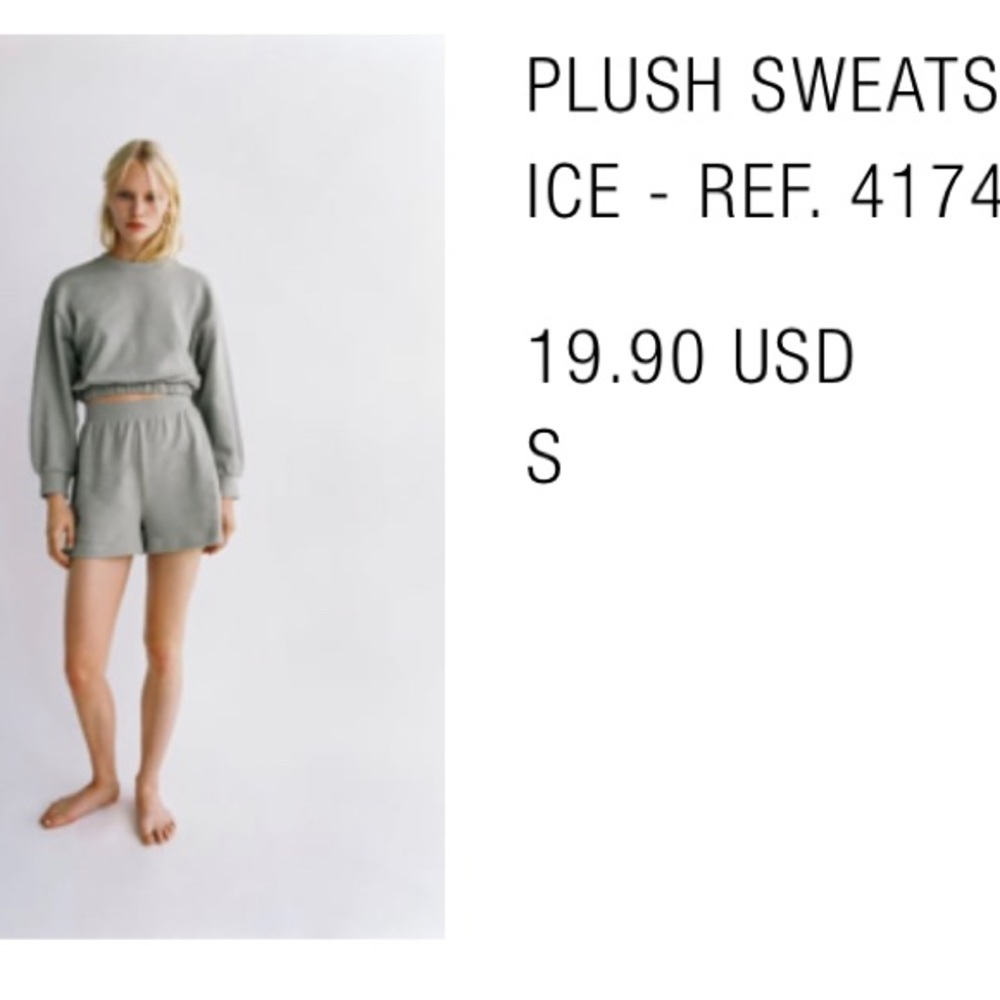 Cropped Zara sweatshirt